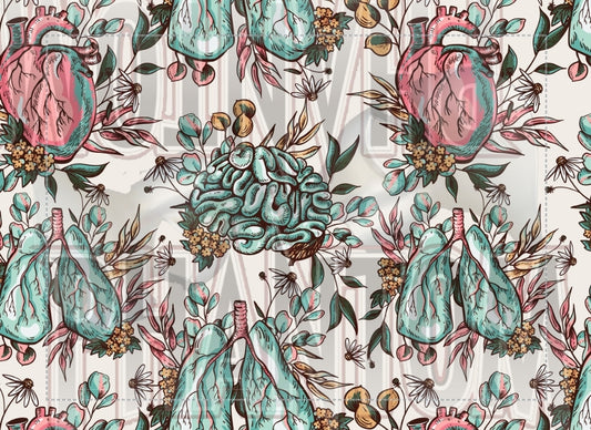 Preorder Floral Anatomy