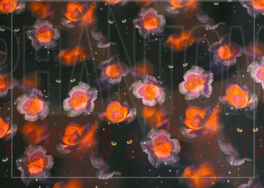 Black Cats & Red Roses Woven