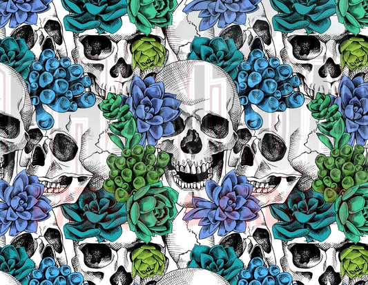 Preorder Skulls & Succulents