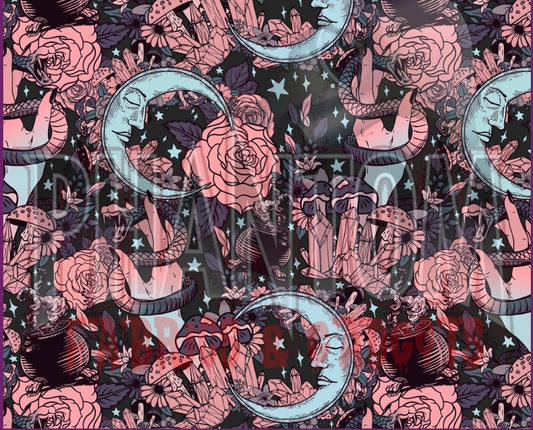 Preorder Starry Witch